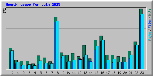 Hourly usage for July 2025