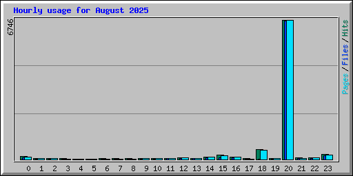 Hourly usage for August 2025
