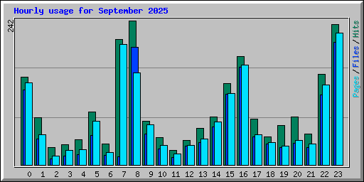 Hourly usage for September 2025