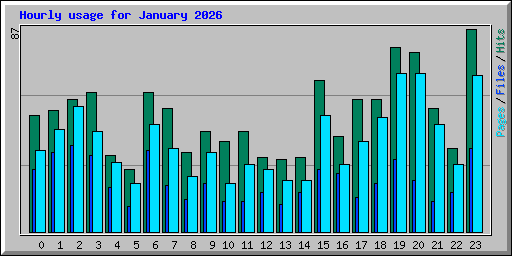 Hourly usage for January 2026