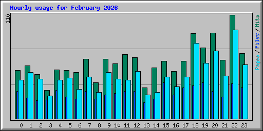 Hourly usage for February 2026